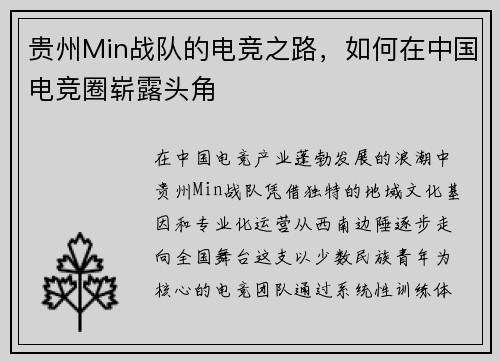 贵州Min战队的电竞之路，如何在中国电竞圈崭露头角