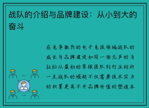 战队的介绍与品牌建设：从小到大的奋斗